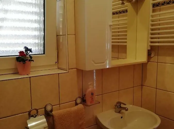 Vesna Apartman Buje
