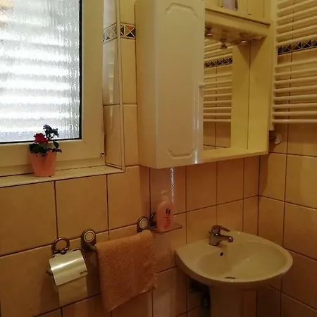 Vesna Apartament Buje